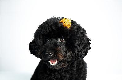 国产游戏《墨境》遭Steam下架 开发商也不知道原因